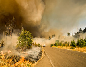 A Guide To The Different Types Of Wildfires (And Best Practice For Protection)