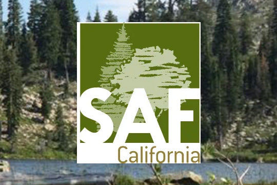 Komodo at Forestry Strategies and Innovations (FSI) 2024 conference