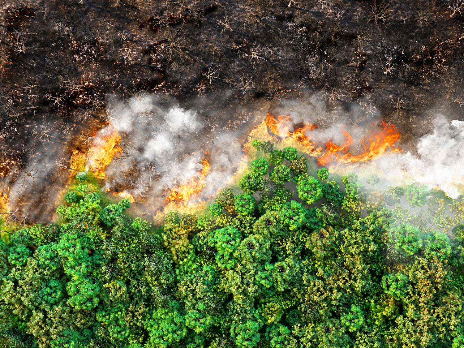 The Main Types Of Fire Retardants